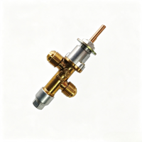 Vanne de gaz en laiton pour cuisinière à gaz, ensemble de gazéification, vanne de régulation de gaz pour brûleur à gaz, pièces de rechange pour chauffage de terrasse
