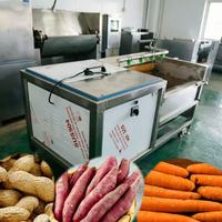 Automatische roterende borstelrolreinigingsmachine voor het wassen van verse groenten, fruit en aardappelen