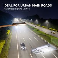 Modules LED haute puissance pour éclairage public 100W 150W 200W 300W IP66 étanches pour autoroute et route