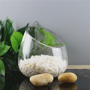 Vase <span class=keywords><strong>en</strong></span> <span class=keywords><strong>verre</strong></span> oblique populaire <span class=keywords><strong>en</strong></span> gros, <span class=keywords><strong>pot</strong></span> <span class=keywords><strong>en</strong></span> <span class=keywords><strong>verre</strong></span> oblique pour plantes aquatiques et mini-fleurs avec décoration de petites pierres - Product Image 2