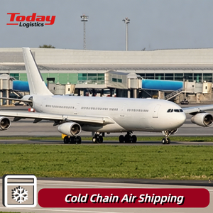 Expédition rapide par avion et camionnage, fret à température constante, produits frais congelés, emballage isolé, étiquetage, Allemagne, France, Pays-Bas - Product Image 1