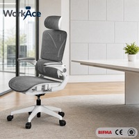 Chaise de bureau ergonomique avec assise en maille respirante, certifiée BIFMA CE, pour le travail quotidien, directement de l'usine, confortable et durable