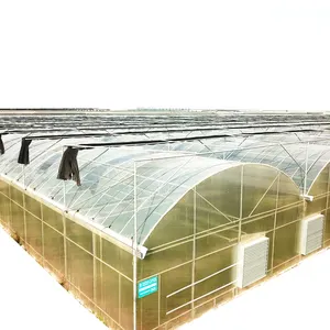 Large commercial green house agriculture greenhouse structure for farming