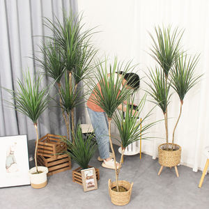 YuccaTree à feuilles persistantes décoratif pour la maison plante artificielle Dracaena - Product Image 5