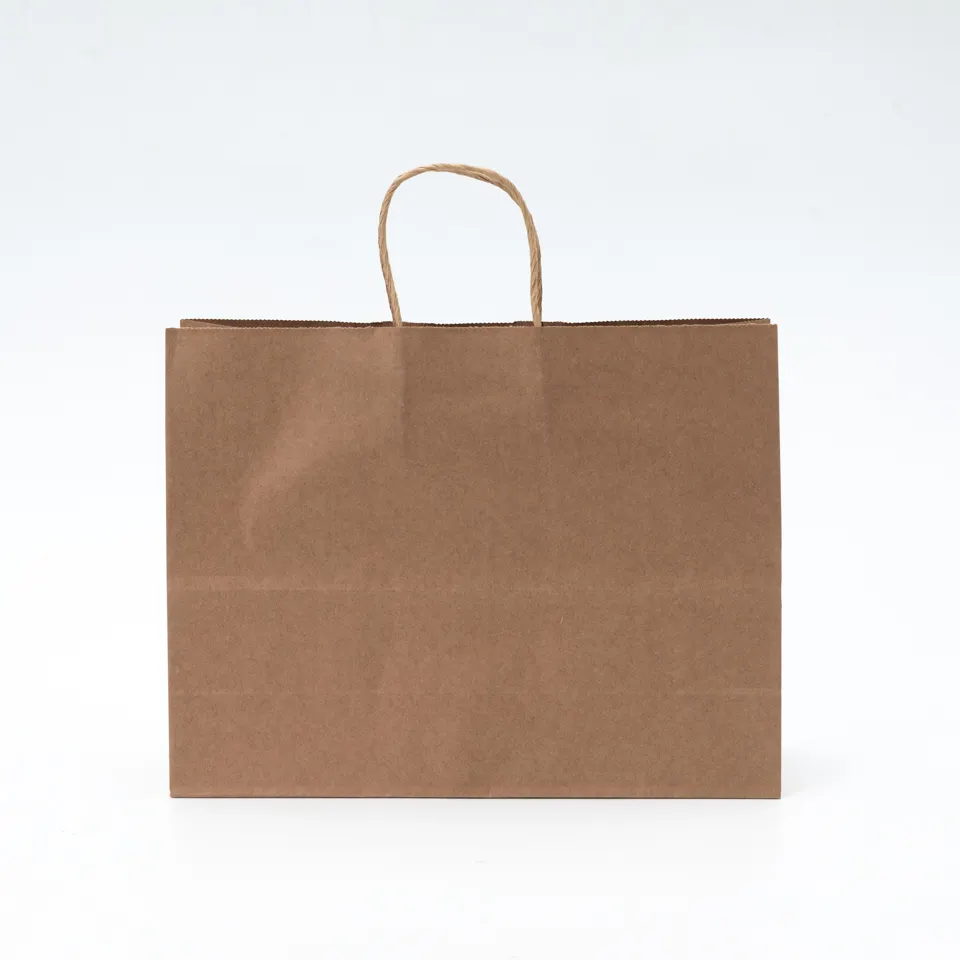 Sac en papier à provisions de luxe marron vert personnalisé avec poignée en papier kraft multi-tailles en stock cadeau de vêtement shopping sac uni