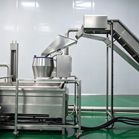 JOHTANK Nouvelle ligne de production industrielle entièrement automatique multifonction en acier inoxydable pour la fabrication de chips et de frites