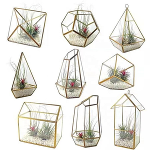 Terrario Geometrico in Vetro Stile Vintage <span class=keywords><strong>Nero</strong></span> e Oro Irregolare all'Ingrosso per Piante Succulente da Tavolo - Product Image 2