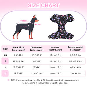 Hot Sale 5 Arten Haustier zubehör Hunde geschirr und Leine Set Hunde halsband mit Poop Bag Holder LED Hunde halsband Licht Zubehör - Product Image 2