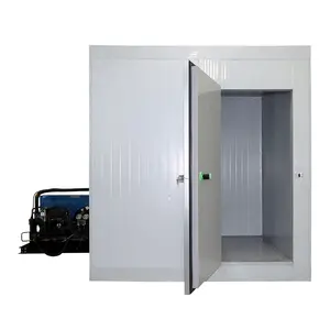 Ultra Low Temperature -60C Container Freezer Cold Room Container Freezer Reefer Container 20ft 40ft Customize Provided