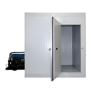 Siêu thấp nhiệt độ-60c <span class=keywords><strong>container</strong></span> Tủ đông lạnh phòng <span class=keywords><strong>container</strong></span> Tủ đông lạnh <span class=keywords><strong>container</strong></span> 20ft 40ft tùy chỉnh cung cấp - Product Image 1