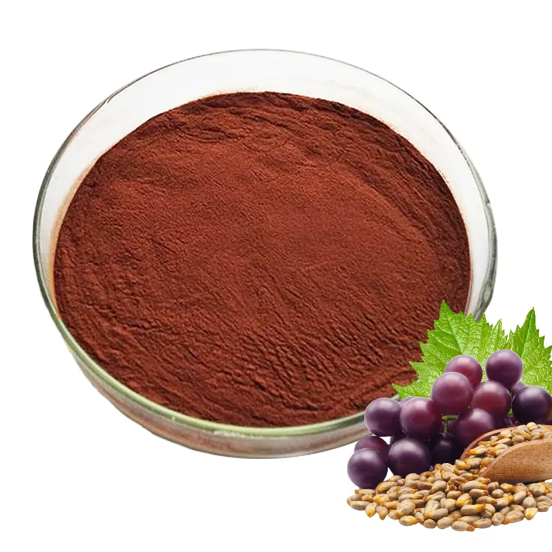 100% Pure Natural Australia Organic OPC 95% Procyanidine Red Grape Seed Extract