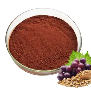 100% Pure Natural Australia Organic OPC 95% Procyanidine Red Grape Semente Extrato