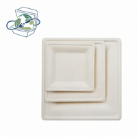 Assiettes carrées jetables XS-FP08 de 8 pouces en bagasse naturelle, biodégradables, en bagasse de canne à sucre