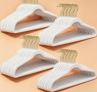 Lot de 100 cintres à vêtements de haute qualité en blanc avec crochets dorés et design antidérapant