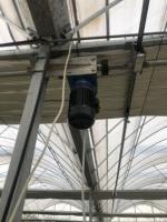 Fabrieksgemaakte foliekas met metalen frame voor het kweken van tomaten