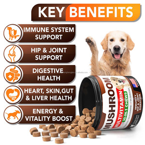 30 In 1 Multivitamine Zacht Kauwt Honden Voor Huisdieren Supplementen Probiotica Glucosamine Immuun Hart Huid Darm Lever Heupgewricht Gezondheid Oem Odm - Product Image 4