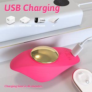 Da indossare clitoride che vibra mutandine vibratore uova telecomando G-Spot vibratore a farfalla <span class=keywords><strong>coppia</strong></span> giocattoli del sesso <span class=keywords><strong>per</strong></span> donne masturbatore - Product Image 5