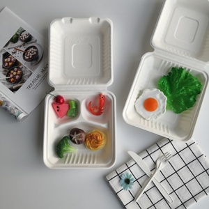 Conteneur alimentaire biodégradable à 3 compartiments bagass de canne à sucre jetable de boîte de nourriture - Product Image 6