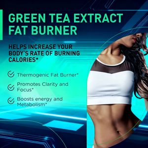 ODM OEM Venta caliente Delgado y quemador de grasa Mejorar la digestión Curb Apetito Cápsulas de extracto de té verde - Product Image 2