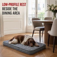 Matelas orthopédique pour chien, profil bas, gris, coussin de sol avec housse ajustée lavable pour espace repas