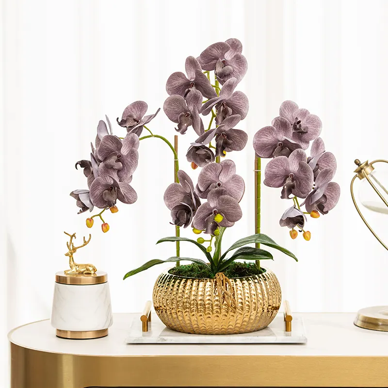 Großhandel moderne kreative einfache Welle Punkt große Pflanze Orchideen topf Gold halbrunde Keramik Pflanz gefäße Blumentopf mit Orchideen blume