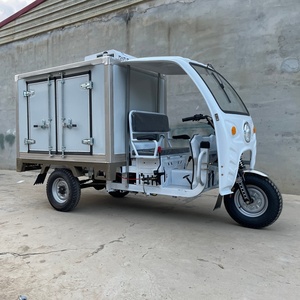 Triciclo Refrigerado Motorizado de Cabina Cerrada, Tres <span class=keywords><strong>Ruedas</strong></span>, Impulsado por Gasolina, Sistema de Refrigeración de Más de 1000W, Carrito de Venta Ambulante de Helados - Product Image 4
