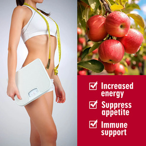 Factory Direct Keto Acv Gummies with Apple Cinder Vinegar Detox Cleansing Support Refresh Make Exercise More Effective Gummies - Product Image 4