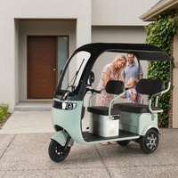 Triciclo Eléctrico Mini para Adultos, Nuevo Diseño Económico, 3 Ruedas, Motor en el Buje Trasero, 1000W, 3 Velocidades, Marco de Acero al Carbono, para Carga y Pasajeros