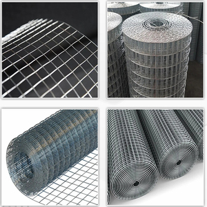 Rouleaux de grillage soudé électrogalvanisé en gros, maille carrée de 1/2 pouce et 1 pouce pour cage à lapins - Product Image 4