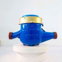 CE Multi-Jet Cast Iron Mechanical Water Meter ISO4064 Mechanical Water Meter Thread Blue Body R80 Bulk Export