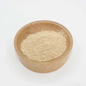 Enzyme hémicellulase de haute qualité provenant d'Aspergillus niger pour l'hydrolyse de l'hémicellulose dans les applications alimentaires - Product Image 2