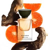 Col à visser de bouteille de parfum en verre vide carré de 30ml 50ml 100ml à sertir de luxe avec impression de logo personnalisé et boîte cadeau