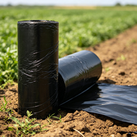 1,2m brede 50 micron PBAT biologisch afbreekbare landbouw mulchfolie, UV-bestendig plastic folie voor bodembedekking, rol