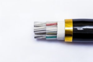 <span class=keywords><strong>Cable</strong></span> YJLV <span class=keywords><strong>de</strong></span> Alta Calidad, Suministro <span class=keywords><strong>de</strong></span> Fábrica, <span class=keywords><strong>Precio</strong></span> Competitivo, 5 Núcleos, Amplia Aplicación, Alta Conductividad, 5*70mm2 - Product Image 3