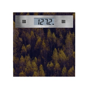 مقياس ذكي لتوازن الجسم البشري, شعار ألوان مخصص متعدد اللغات ، ميزان صوتي رقمي لتوازن الجسم البشري ، مقياس ذكي لوزن الجسم - Product Image 2