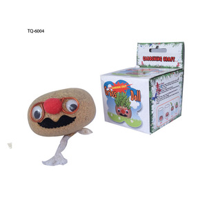 Grashoofd Pop Kit Leuk <span class=keywords><strong>Diy</strong></span> Planter Voor Kinderen Decoraties Educatief Stengel Speelgoed Uniek Verjaardagscadeau - Product Image 6