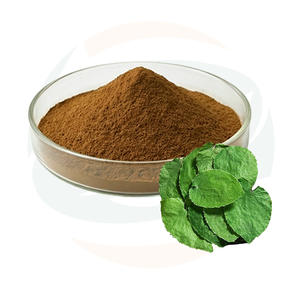 Оптовая продажа порошка экстракта эпимедиума от китайской фабрики: 20% икариина, экстракт эпимедиума сагиттатума, экстракт эпимедиума для повышения потенции - Product Image 1