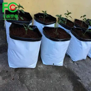 Milieuvriendelijke Zwart-wit 10 Gallon Pe Plastic Agrarische Poly Zakken Voor Zaden Planten