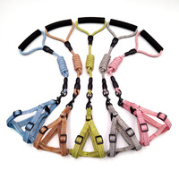 Ensemble laisse tressée pour chien et harnais de poitrine réglable, poignée rembourrée anti-torsion, kit de promenade pour chiens de taille moyenne à grande