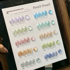 Pretty Penny 2025 Esmalte de Ojos de gato de 10 <span class=keywords><strong>colores</strong></span> de larga duración Esmalte de <span class=keywords><strong>uñas</strong></span> de gel UV Botella de fototerapia LED Embalaje para salones Nuevo Gel - Product Image 3