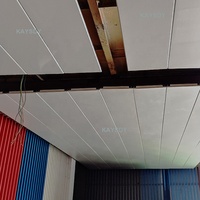 Tiras de techo elásticas de aluminio para estación de tren moderna, tira de aluminio ligera acústica en forma de S blanca, techo de caída