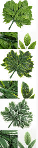 Vente en gros de haute qualité Feuilles artificielles Real Touch Plantes décoratives artificielles Plantes de verdure Feuille de <span class=keywords><strong>laurier</strong></span> - Product Image 5