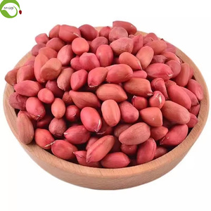 Cây trồng mới Trung Quốc đậu phộng hạt với da đỏ nguyên chế biến - Product Image 2