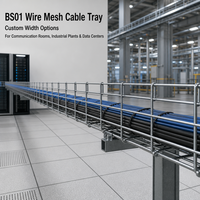 BS01 Kabel Tray Kawat Baja Galvanis Panjang 2m Sesuai Standar EN 61537 2007 untuk Sistem Manajemen Kabel Pusat Data