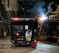 Générateur de soudage diesel portable certifié CE, type silencieux, 9 kW, 10 kW, 250 A, 400 A, 2,0-5,0 mm, refroidi par air, 12 V