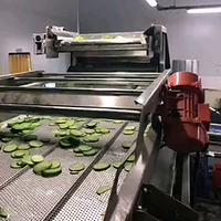 YIHAI Industriële Appel- en Groentewasmachine Model WL400 380V Eenvoudig te bedienen voor voedselverwerkingslijnen
