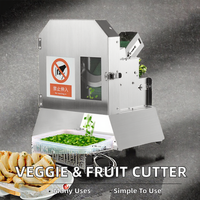 Hoge Efficiëntie Elektrische Multifunctionele RVS Fruit- & Groentesnijder Inclusief Aardappelrasp Motor Kerncomponent