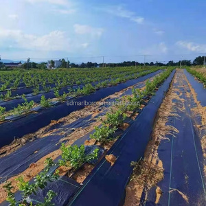 Tapis de contrôle des adventices SDM PP certifié CE, tissu à haute perméabilité à l'eau <span class=keywords><strong>pour</strong></span> la culture des fraises, des tomates, des vergers et des semis - Product Image 6
