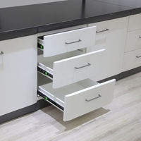 Banc mural de laboratoire directement en gros avec évier table de travail de laboratoire armoire suspendue