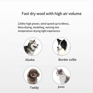 2024 nuova macchina per far saltare i peli per animali domestici e assorbire i capelli all-in-one per fare il bagno e asciugare i capelli muti asciugacapelli per cani di grandi dimensioni - Product Image 4